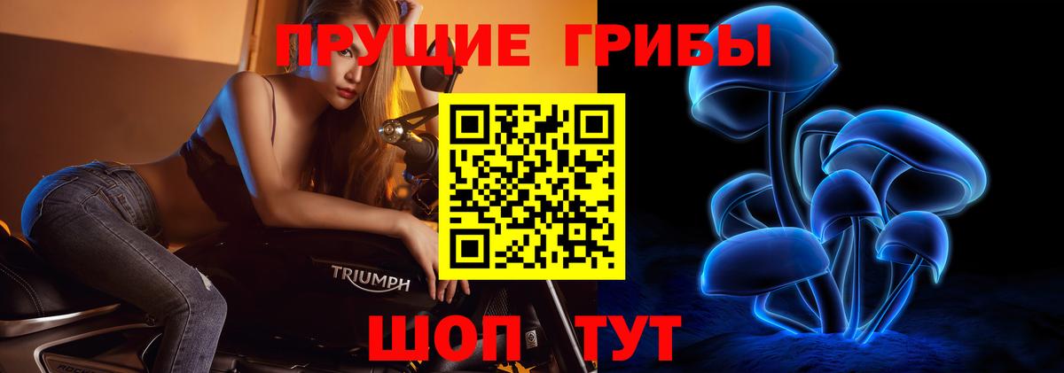 Псилоцибиновые грибы MAGIC MUSHROOMS Верхняя Пышма