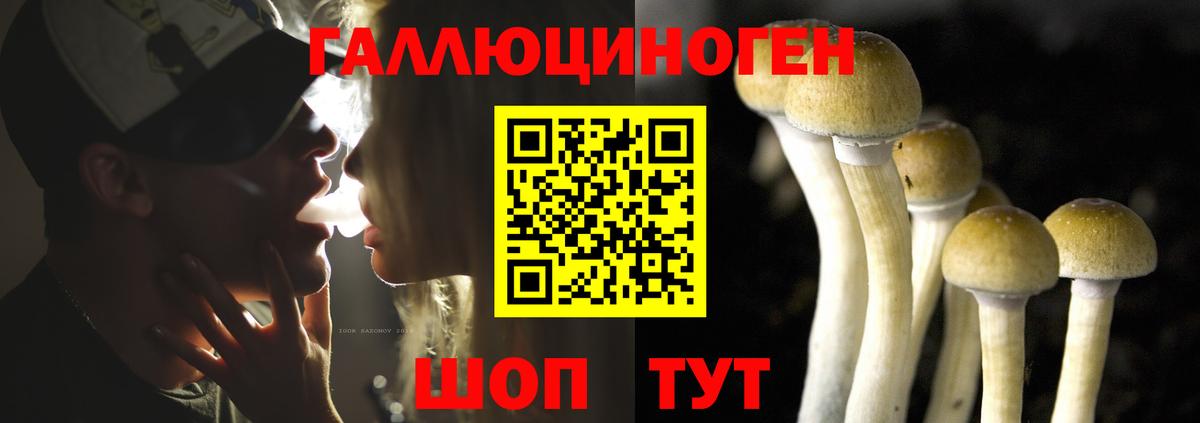 Галлюциногенные грибы ЛСД  Вход с VPN  Верхняя Пышма 